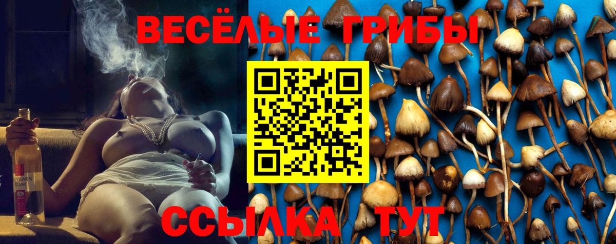 Котельники  Псилоцибиновые грибы мухоморы  Галлюциногенные грибы Magic Shrooms  Вход с VPN 